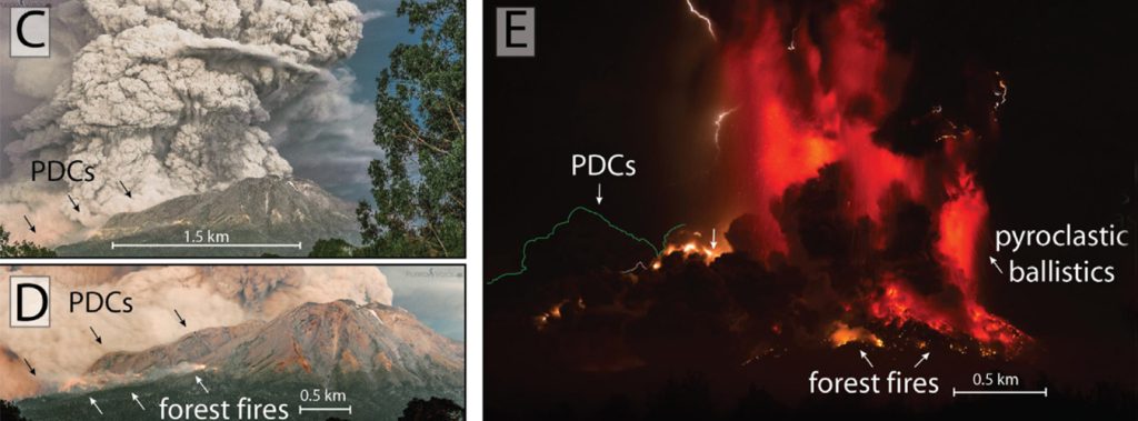 The April 2015 Calbuco eruption pyroclastic density currents: deposition, impacts on woody vegetation, and cooling on the northern flank of the cone