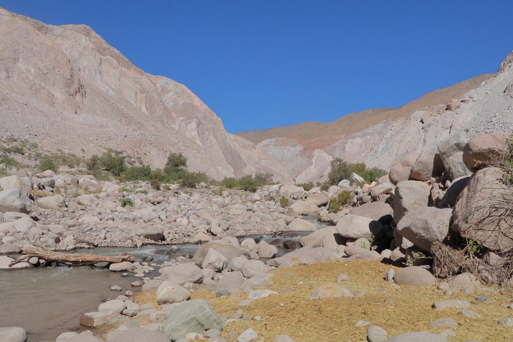 Científicas estudiarán los factores geoquímicos y microbiológicos que controlan la movilización del arsénico y cromo en ríos y afloramientos geológicos