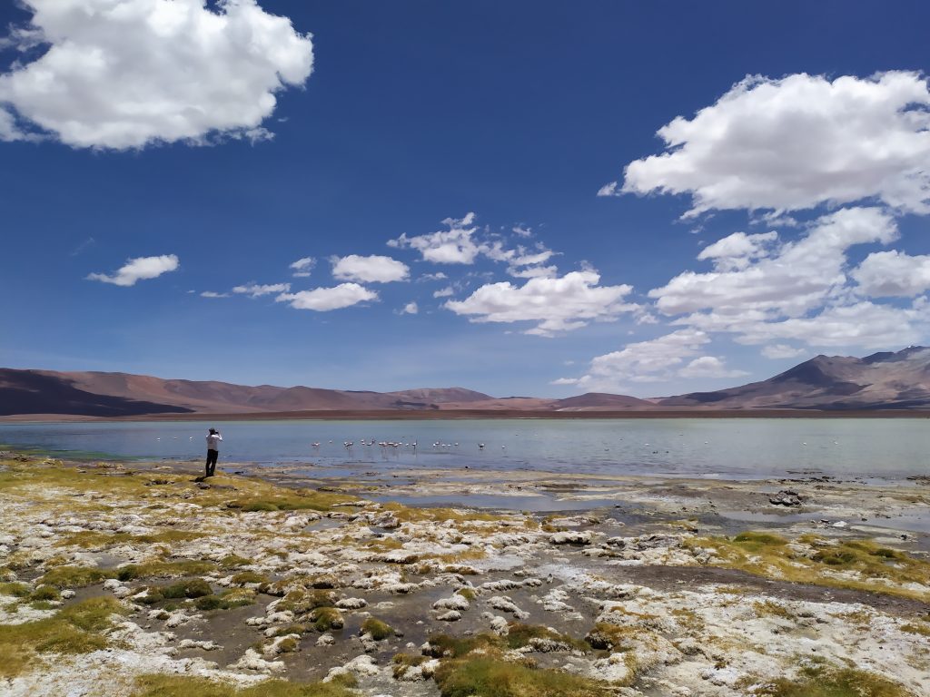 Geochemical survey of thermal springs from the Atacama region, northern Chile
